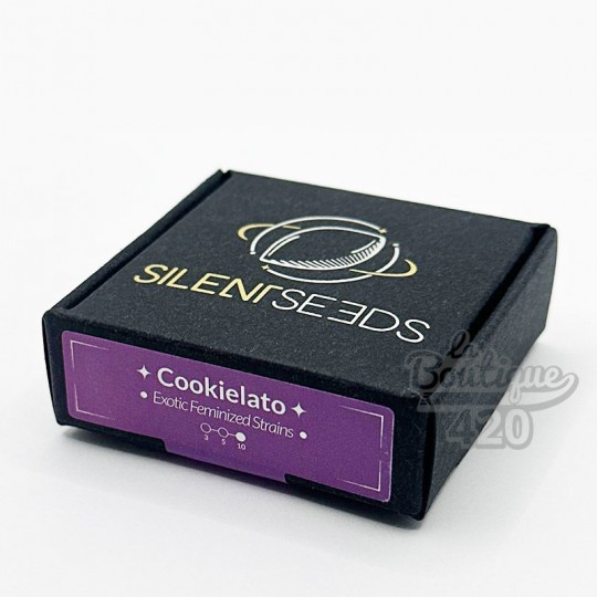 Boîte de graines Cookielato féminisées de Silent Seeds, variété hybride Indica aux arômes gourmands de cookies