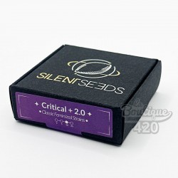 Schachtel mit feminisierten Silent Seeds Critical + 2.0 Samen, Premium-Cannabissorte