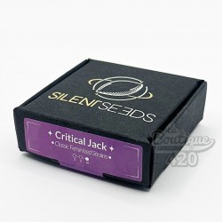 Packaging de graines Critical Jack Féminisée Silent Seeds, variété hybride Sativa premium issue du croisement Critical+ x Jack H