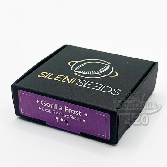 Schachtel mit feminisierten Silent Seeds Gorilla Frost Samen, Premium-Sorte aus der Kreuzung mit Gorilla Glue