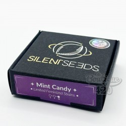 Premium-Verpackung der limitierten Edition feminisierter Silent Seeds Mint Candy mit kalifornischer Hybrid-Genetik