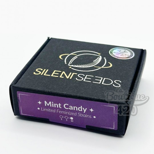 Premium-Verpackung der limitierten Edition feminisierter Silent Seeds Mint Candy mit kalifornischer Hybrid-Genetik