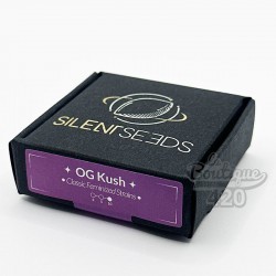 Graines OG Kush Féminisées Silent Seeds - Variété de collection californienne premium issue du croisement Lemon Thai x Chemdawg 