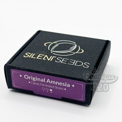 Box mit feminisierten Original Amnesia Samen von Silent Seeds, legendäre sativa-dominante Sorte aus den Coffee Shops