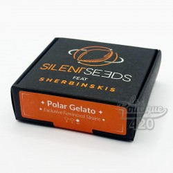 Silent Seeds Verpackung der feminisierten Polar Gelato in Kollaboration mit Sherbinskis, Premium-Sorte