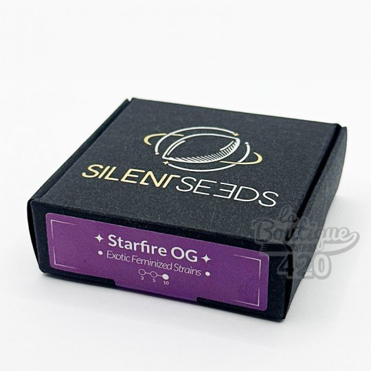 Box mit feminisierten Star Fire OG Samen von Silent Seeds, Premium-OG-Kush-Sorte mit 24-29% THC für Sammler