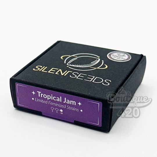 Silent Seeds Box mit feminisierten Tropical Jam Samen, limitierte Premium-Edition mit violettem Etikett