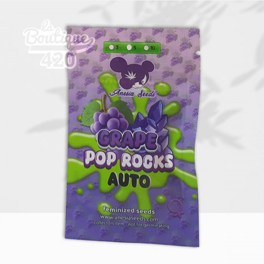 Sachet de graines Grape Pop Rocks Auto d'Anesia Seeds, variété autofloraison premium à 33% THC aux arômes de raisin