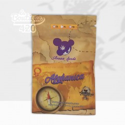 Samenpackung mit feminisierten Afghanica von Anesia Seeds, authentische afghanische reine Indica-Landrace 100%