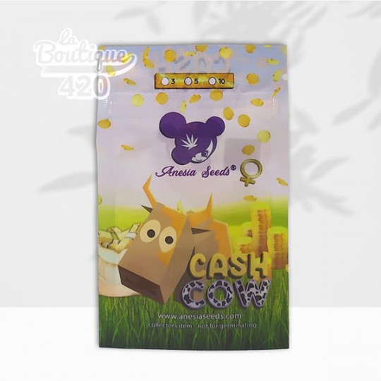 Samenpackung mit feminisierten Cash Cow von Anesia Seeds, leistungsstarker Indica-Hybrid mit Premium-Genetik