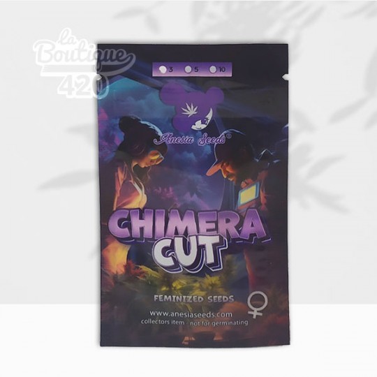 Samenpackung mit feminisierten Chimera Cut von Anesia Seeds mit violett-orangem Design, Premium-Sorte mit 38,5% THC