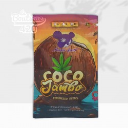 Paquet de graines féminisées Coco Jambo d'Anesia Seeds avec design tropical coloré et logo cannabis