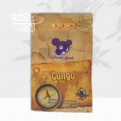 Graines féminisées Congo d'Anesia Seeds - Landrace africaine authentique 100% Sativa du bassin congolais