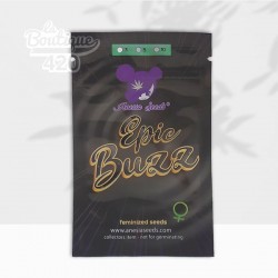 Samenbeutel der feminisierten Epic Buzz von Anesia Seeds mit violettem Logo und goldener Aufschrift auf schwarzer Verpackung