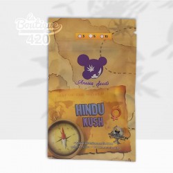 Graines Hindu Kush Féminisée d'Anesia Seeds - Landrace afghane authentique 100% Indica pure des montagnes