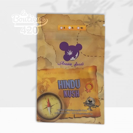 Graines Hindu Kush Féminisée d'Anesia Seeds - Landrace afghane authentique 100% Indica pure des montagnes