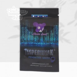 Paquet de graines IMPERIUM X féminisées d'Anesia Seeds, variété cannabis hybride avec 36% de THC record mondial