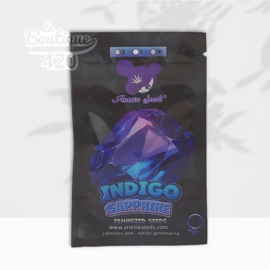 Graines Indigo Sapphire féminisées Anesia Seeds avec 33,8% THC, hybride premium Imperium X x Violet Fog