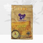 Samenbeutel der feminisierten Malawi Gold von Anesia Seeds, afrikanische 100% Sativa-Landrace aus den Hochplateaus