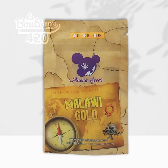 Samenbeutel der feminisierten Malawi Gold von Anesia Seeds, afrikanische 100% Sativa-Landrace aus den Hochplateaus
