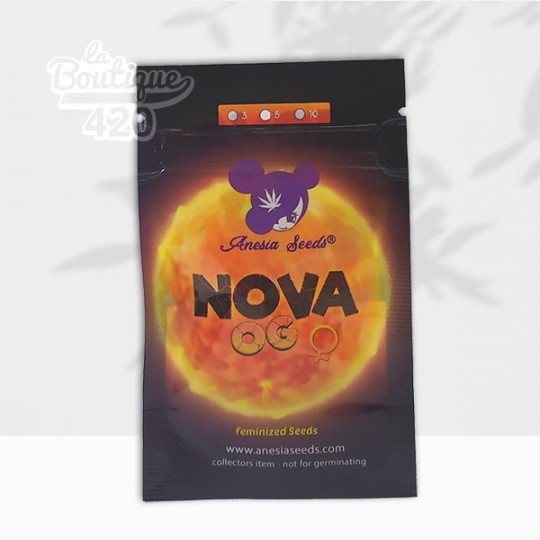 Sachet de graines Nova OG Féminisée d'Anesia Seeds à 32% de THC, variété hybride Indica de collection