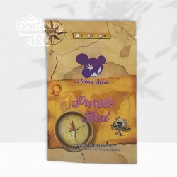 Verpackung der feminisierten Purple Thai-Samen von Anesia Seeds, reine thailändische Sativa-Landrace mit 24% THC