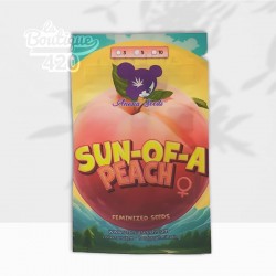 Samenpackung der feminisierten Sun of a Peach von Anesia Seeds, Premium-Indica-Hybrid mit 38% THC und Pfirsicharomen