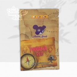 Packung feminisierter Panama Red Samen von Anesia Seeds, legendäre Sativa-Landrace-Sorte aus den 60er Jahren