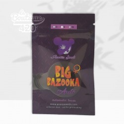 Sachet de graines Big Bazooka Auto d'Anesia Seeds, variété autofloraison indica dominante à cycle rapide