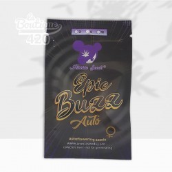 Paquet de graines Epic Buzz Auto d'Anesia Seeds, variété autofloraison à 30% THC avec cycle de 8-9 semaines