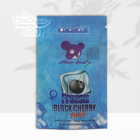 Packaging bleu Frozen Black Cherry Auto d'Anesia Seeds avec cerise noire, variété autofloraison 29% THC