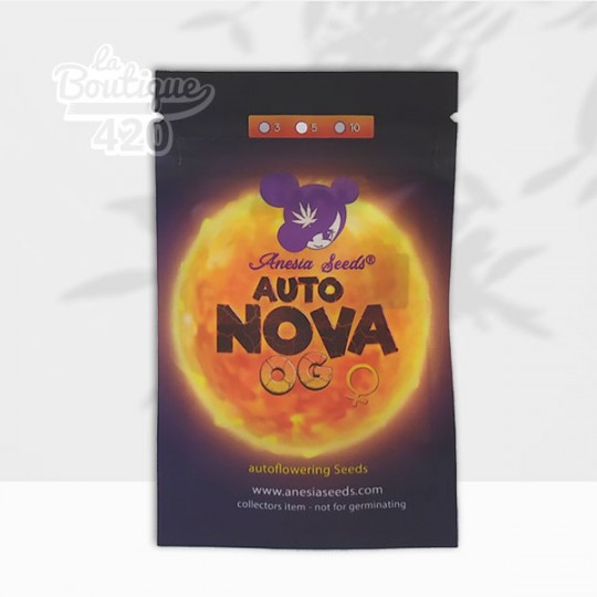 Paquet de graines Auto Nova OG d'Anesia Seeds, variété autofloraison indica à 24% de THC avec cycle de 10 semaines