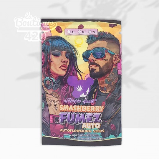 Packaging coloré des graines Smashberry Fumez Auto d'Anesia Seeds avec illustration artistique moderne