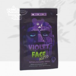 Paquet de graines Violet Face Auto d'Anesia Seeds, variété autofloraison premium aux arômes de cerise