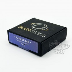 Boîte de graines Critical Jack Auto Silent Seeds autofloraison féminisées, variété hybride premium héritage Dinafem