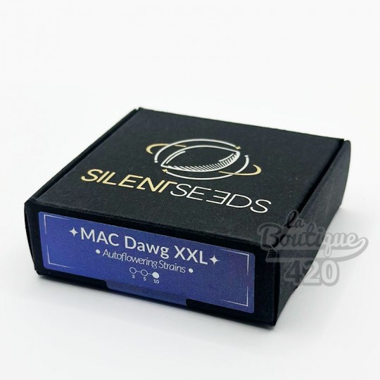 Boîte de graines Silent Seeds Mac Dawg XXL Auto, variété autofloraison premium aux rendements XXL