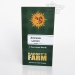 Amnesia Lemon feminisierte Cannabissamen von Barney's Farm mit 5 Samen, Sativa-Hybrid Sammlersorte