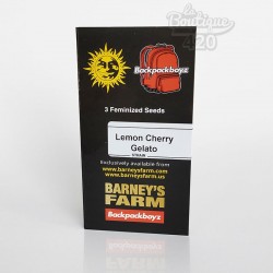 Feminisierte Lemon Cherry Gelato Cannabissamen von Barney's Farm, premium Sorte mit Zitronenaromen