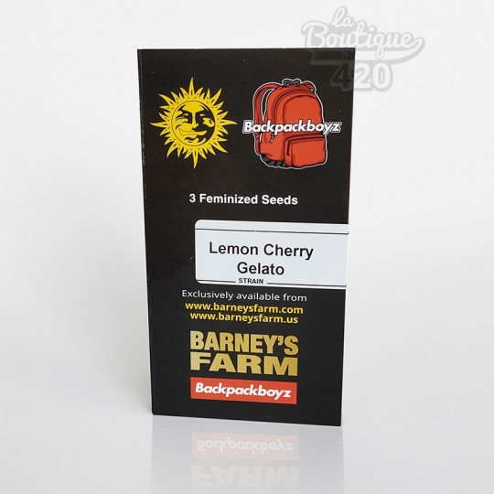 Graines de cannabis Lemon Cherry Gelato féminisées de Barney's Farm, variété premium aux arômes de citron