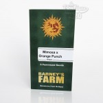 Feminisierte Mimosa x Orange Punch Cannabissamen von Barney's Farm, premium Sammlersorte