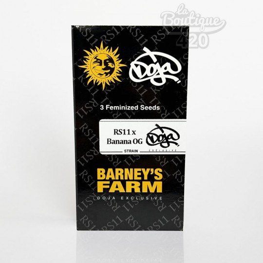 Graines féminisées RS11 x Banana OG de Barney's Farm, variété premium à 31% de THC issue de collaboration