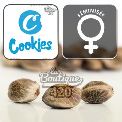 Graines de cannabis Cookies Apples & Bananas x GSC féminisées premium pour collection génétique exclusive