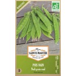 Frische Hülsen der biologischen Zwerg-Erbse Norli Mangetout AB, produktive Sorte mit runden Körnern