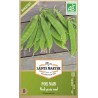 Frische Hülsen der biologischen Zwerg-Erbse Norli Mangetout AB, produktive Sorte mit runden Körnern