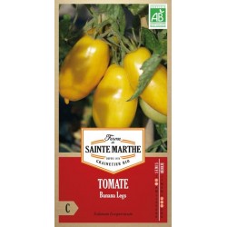 Gelbe Banana Legs Tomaten in bananenförmiger länglicher Gestalt, biologisch angebaut von La Ferme Sainte Marthe