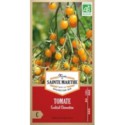 Tomate Cocktail Clémentine AB