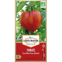 Tomate Cuor di Bue (Coeur...