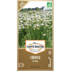 Biologische Samen von ciboule de Chine der Ferme Sainte Marthe mit Feld weißer essbarer Blüten