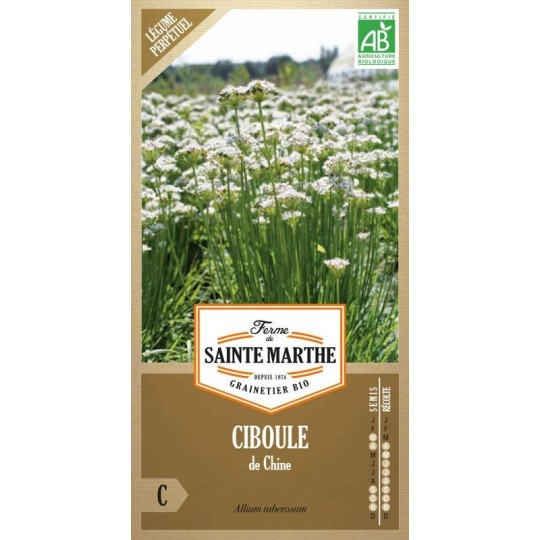 Biologische Samen von ciboule de Chine der Ferme Sainte Marthe mit Feld weißer essbarer Blüten
