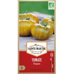 Reife Bio-Tomaten Evergreen AB mit ihrer charakteristischen grünen Farbe und dem Zwiebelschalenmuster der Reife